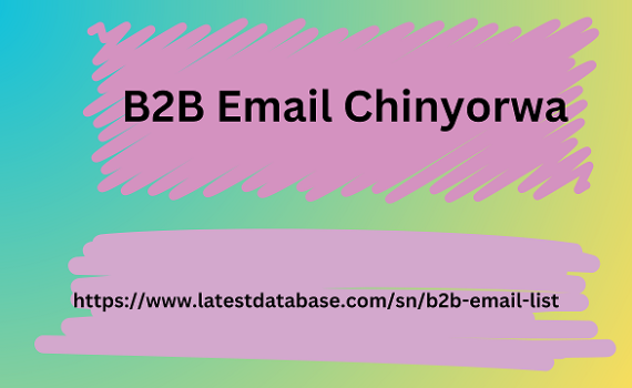 B2B Email Chinyorwa