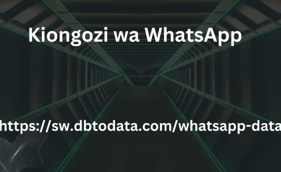 Kiongozi wa WhatsApp